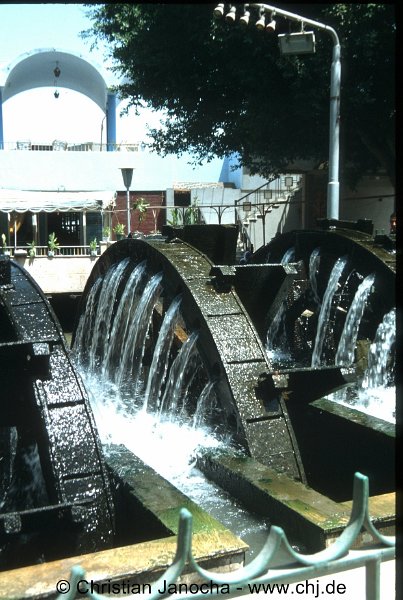www.chj.de_08759