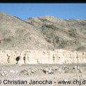 www.chj.de_08770